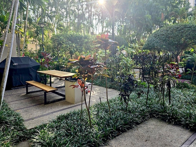 60 N Beretania St Unit 3209, Honolulu, HI 96817 - view of patio featuring grilling area