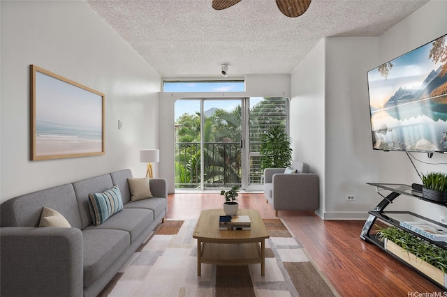 living room featuring wood finished floors and a textured ceiling