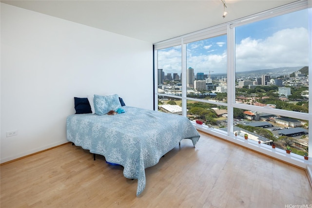 1288 Kapiolani Blvd Unit I2903, Honolulu, HI 96814 - bedroom featuring baseboards, floor to ceiling windows, wood finished floors, and a city view