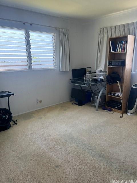 home office featuring carpet flooring
