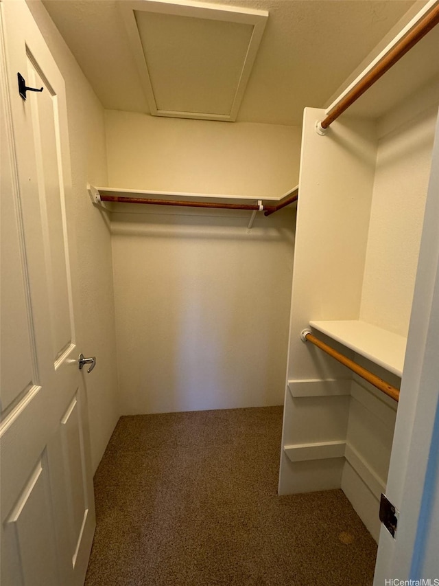 walk in closet with carpet
