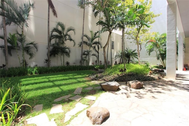 225 Queen St Unit 8C, Honolulu, HI 96813 - view of yard