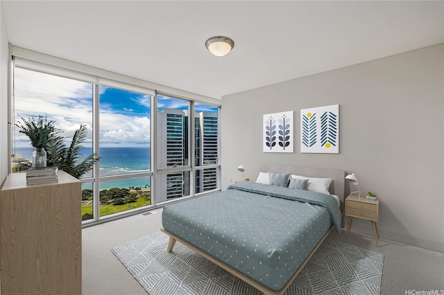 1189 Waimanu St Unit 3502, Honolulu, HI 96814 - carpeted bedroom featuring a water view, baseboards, and floor to ceiling windows