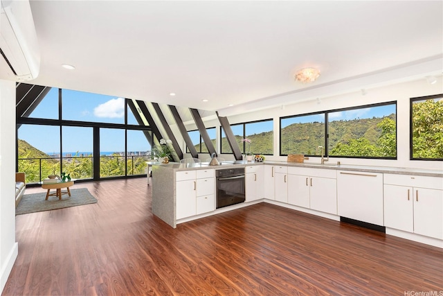kitchen featuring dark wood-style flooring, white dishwasher, floor to ceiling windows, and oven