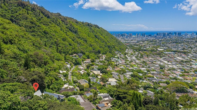 bird's eye view with a water view and a forest view