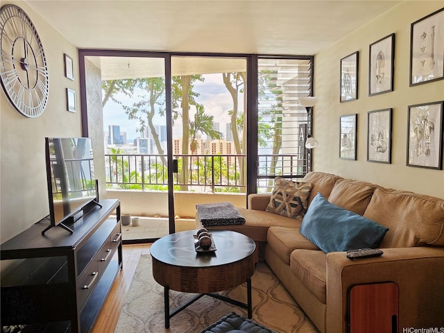 living area featuring wood finished floors and expansive windows