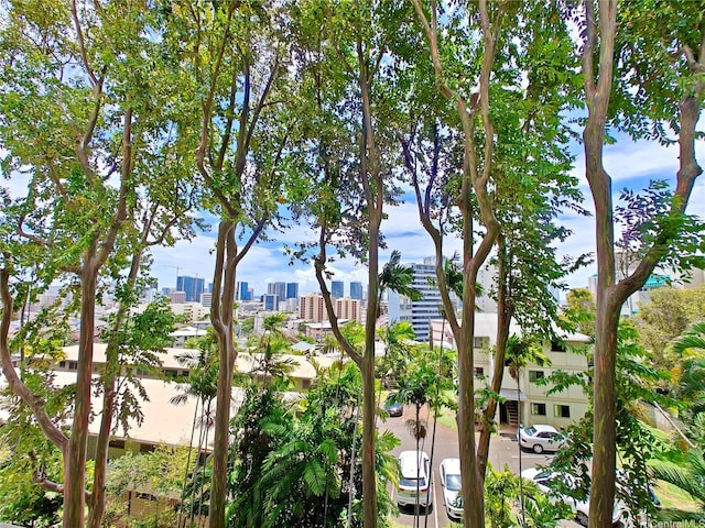 965 Prospect St Unit 307, Honolulu, HI 96822 - view of property with a skyline view