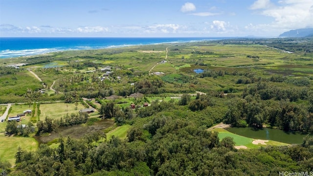 56-1081 Kamehameha Hwy, Kahuku, HI 96731 - photo 23