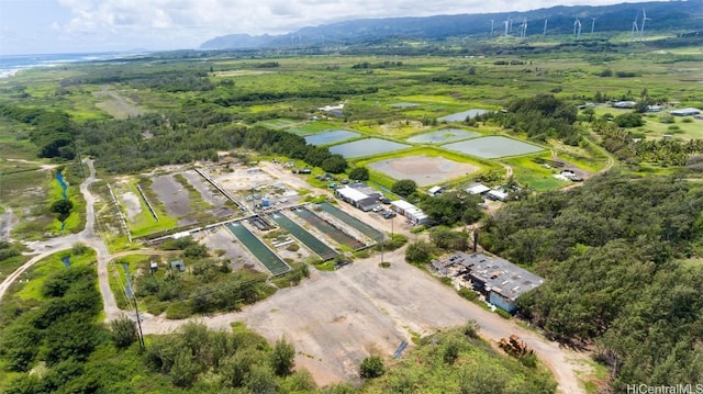 56-1081 Kamehameha Hwy, Kahuku, HI 96731 - photo 7