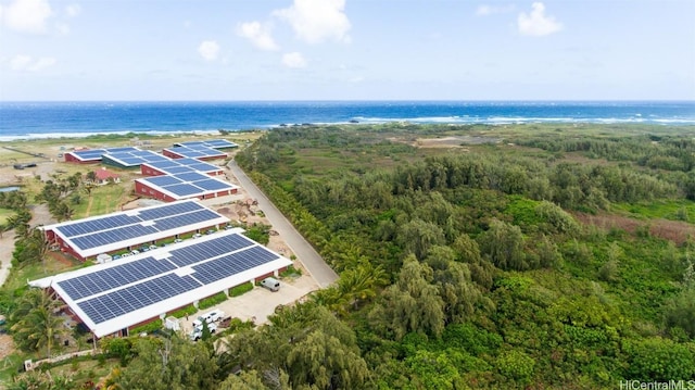 56-1081 Kamehameha Hwy, Kahuku, HI 96731 - photo 10