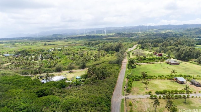 56-1081 Kamehameha Hwy, Kahuku, HI 96731 - photo 12