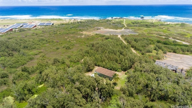 56-1081 Kamehameha Hwy, Kahuku, HI 96731 - photo 13