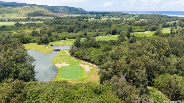 56-1081 Kamehameha Hwy, Kahuku, HI 96731 - photo 18