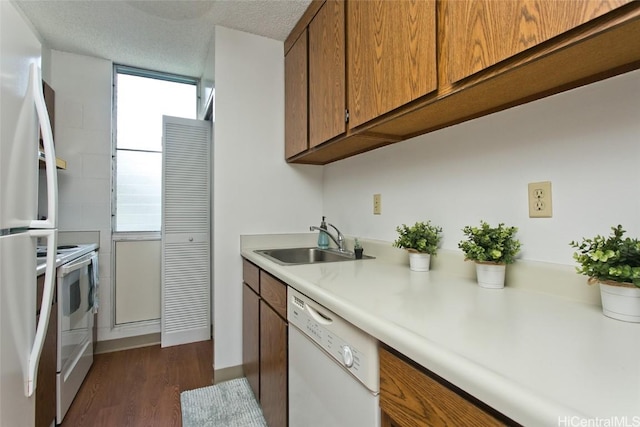 kitchen with white appliances, light countertops, dark wood-type flooring, brown cabinets, and a sink