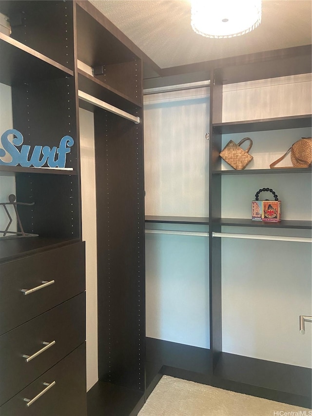 view of walk in closet