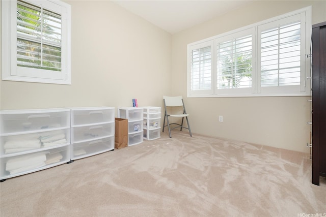 interior space with carpet floors and multiple windows