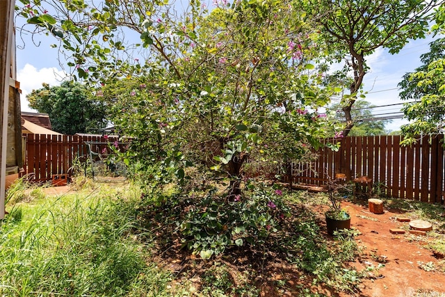 view of yard featuring a fenced backyard
