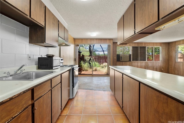 kitchen with under cabinet range hood, light countertops, a sink, black microwave, and electric range oven