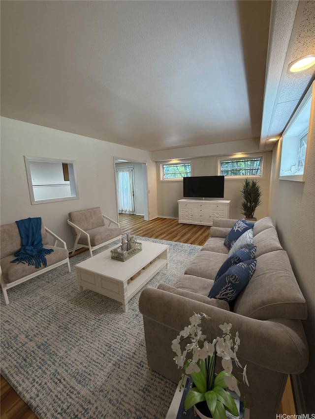 44-313 Kaneohe Bay Dr Unit B, Kaneohe, HI 96744 - living room with wood finished floors