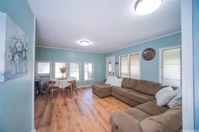 66-925 Ulihi Pl, Waialua, HI 96791 - living area featuring a textured ceiling, light wood-style flooring, and ornamental molding