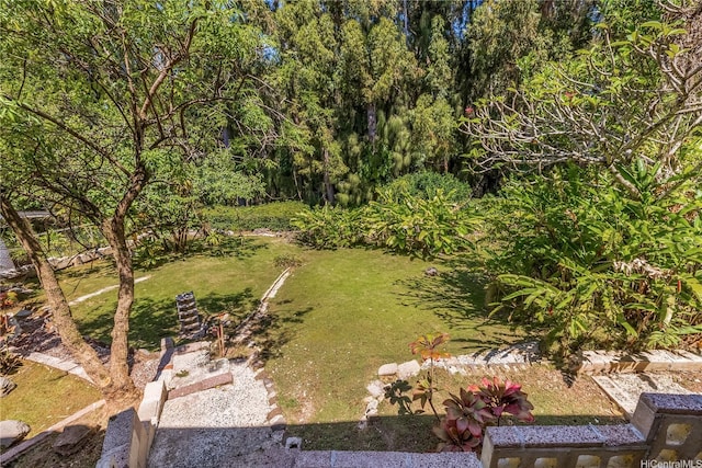 view of yard