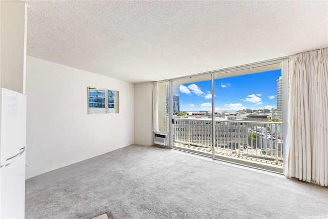 750 Amana St Unit 1111, Honolulu, HI 96814 - spare room featuring carpet flooring, a textured ceiling, and floor to ceiling windows