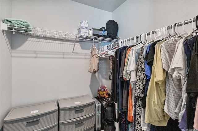view of walk in closet