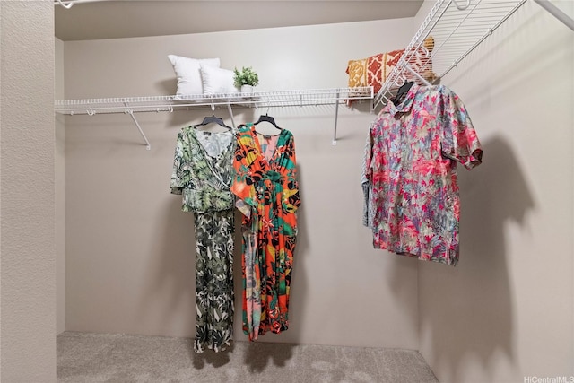walk in closet with carpet floors