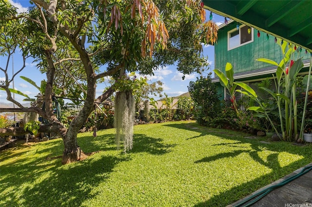 1315 Onioni St, Kailua, HI 96734 - view of grassy yard
