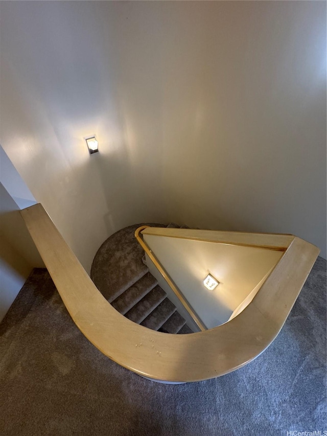 staircase featuring carpet floors