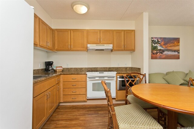 201 Ohua Ave Unit 3006, Honolulu, HI 96815 - kitchen featuring a sink, dark wood-type flooring, white electric range oven, under cabinet range hood, and oven