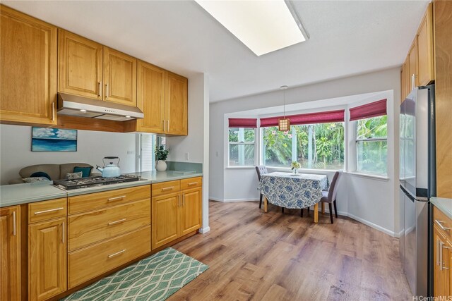 kitchen featuring under cabinet range hood, appliances with stainless steel finishes, light wood-style flooring, and light countertops