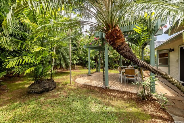 view of yard with a patio area