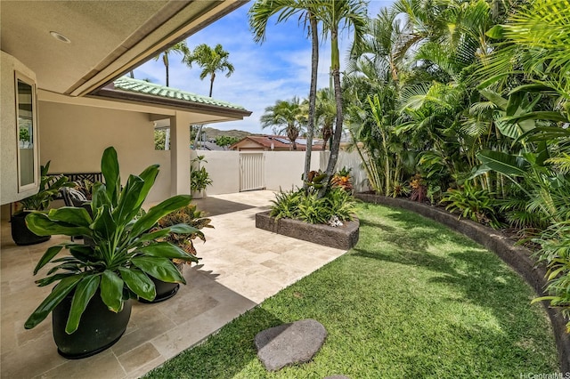 view of yard with a patio and fence