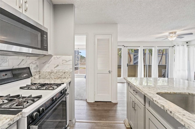 kitchen with decorative backsplash, gas stove, a wealth of natural light, and stainless steel microwave