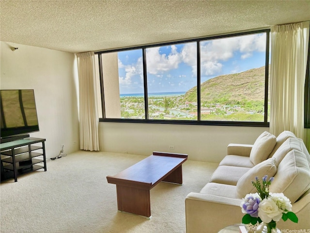 555 Hahaione St Unit 12D, Honolulu, HI 96825 - carpeted living room featuring a textured ceiling