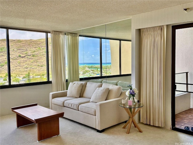 555 Hahaione St Unit 12D, Honolulu, HI 96825 - carpeted living area with a wealth of natural light and a textured ceiling