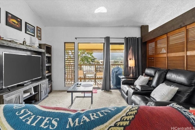 46-020 Aliikane Pl Unit 325, Kaneohe, HI 96744 - living room with carpet floors and a textured ceiling