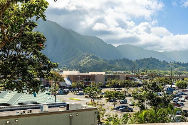 46-020 Aliikane Pl Unit 325, Kaneohe, HI 96744 - mountain view