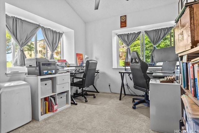 46-020 Aliikane Pl Unit 325, Kaneohe, HI 96744 - carpeted office with a wealth of natural light, a textured ceiling, a ceiling fan, and lofted ceiling