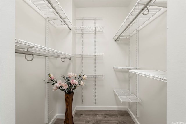 1433 Kewalo St Unit Ph12, Honolulu, HI 96822 - walk in closet with wood finished floors