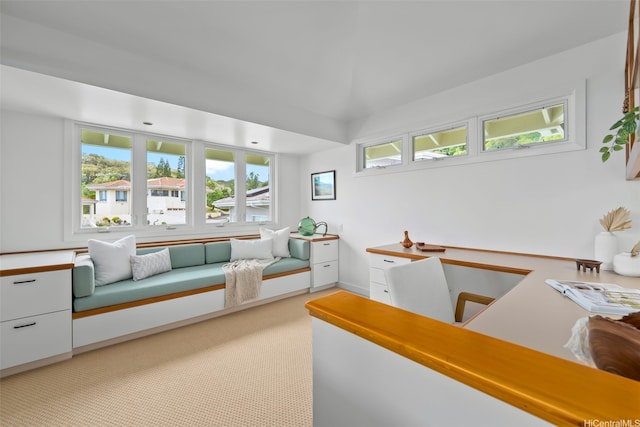 2277 Halakau St, Honolulu, HI 96821 - photo 16
