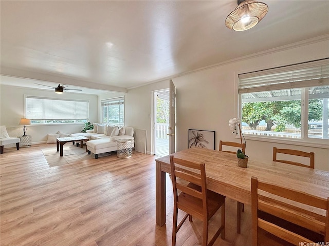47-104 Hunaahi St, Kaneohe, HI 96744 - photo 11