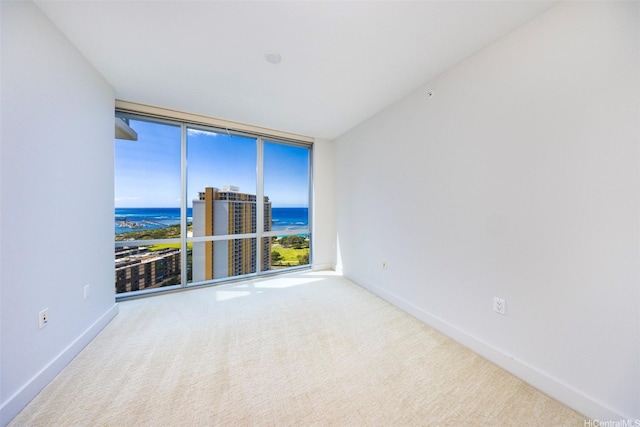 1189 Waimanu St Unit 2803, Honolulu, HI 96814 - photo 15