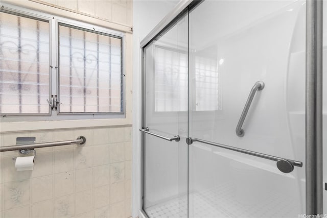 full bath with a shower stall