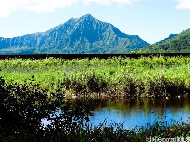 221B Kihapai St, Kailua, HI 96734 - photo 2