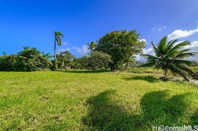 221B Kihapai St, Kailua, HI 96734 - photo 3