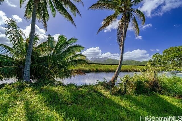 221B Kihapai St, Kailua, HI 96734 - photo 9