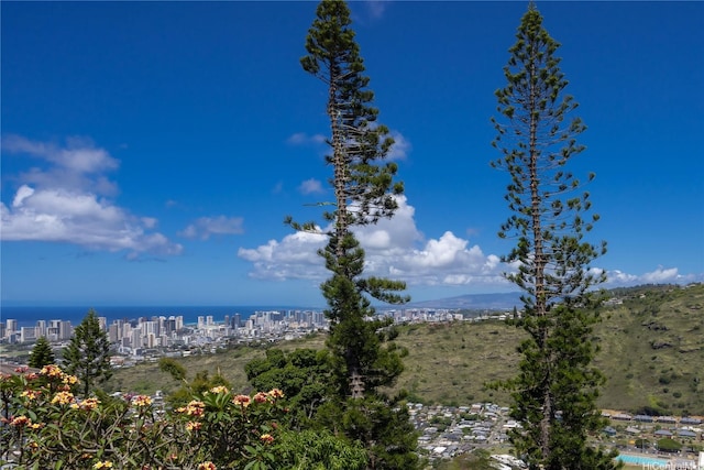 3637 Nihipali Pl, Honolulu, HI 96816 - water view featuring nearby urban area