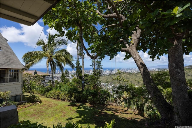 3637 Nihipali Pl, Honolulu, HI 96816 - view of green lawn